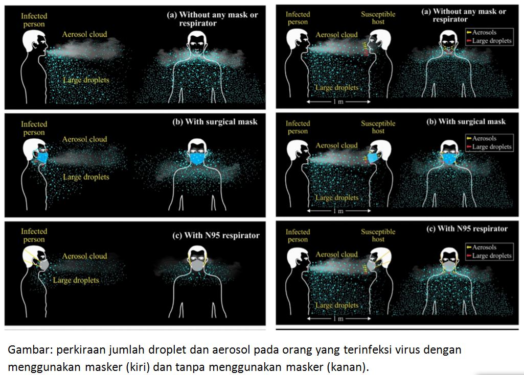 TRANSMISI VIRUS SARS-CoV-2 